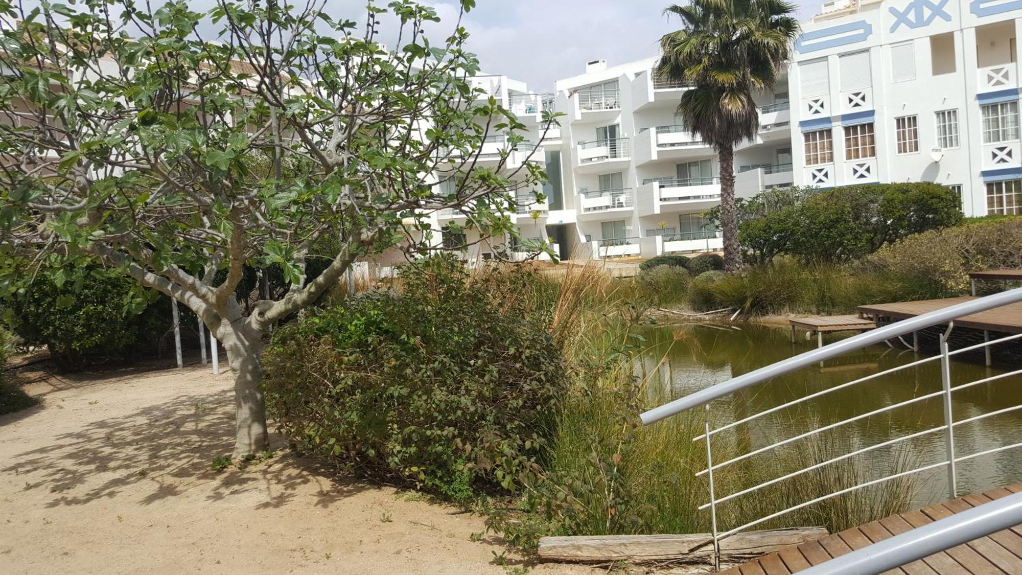 Cabanas Green Apartment & Loft. Кабанас де Тавира Екстериор снимка
